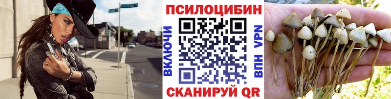 Псилоцибиновые грибы GOLDEN TEACHER Кологрив